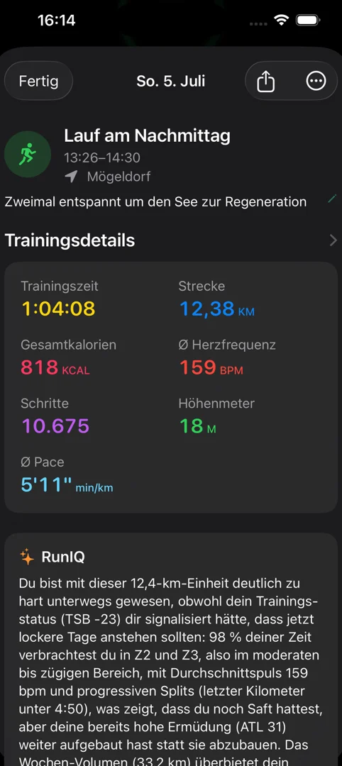 RunIQ-Analyse eines Laufs